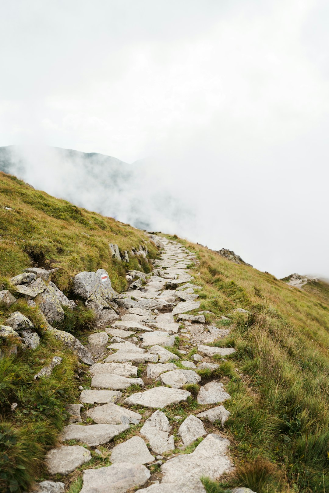 Photo by Yevhenii Dubrovskyi a rocky path with grass and fog